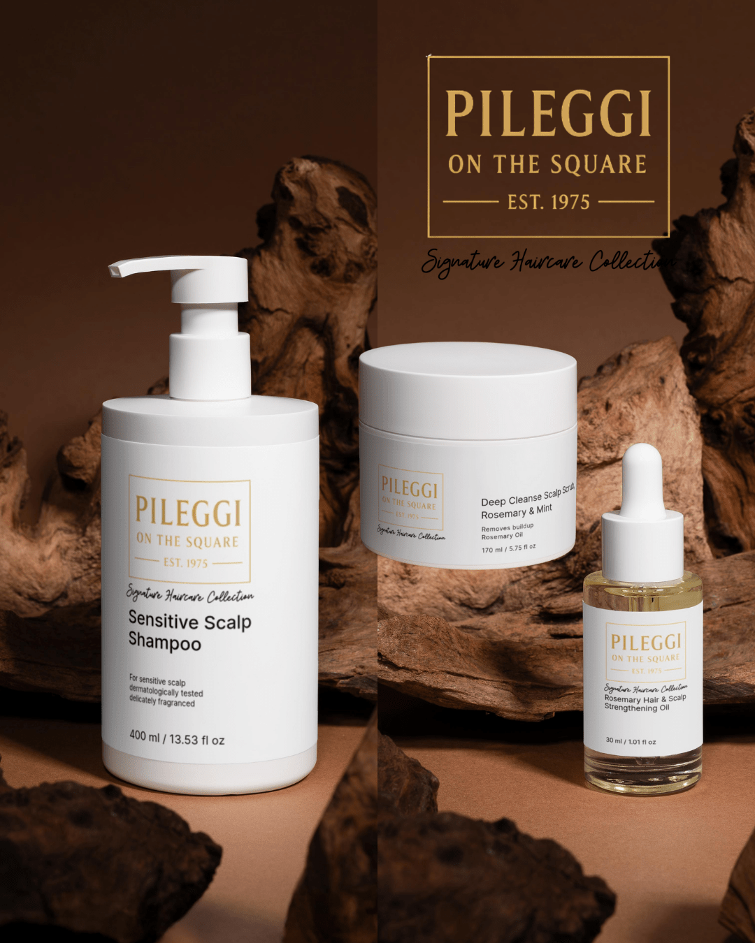 Hair and Scalp Solutions for Ultimate Healthy Hair and Scalp Care - Pileggi on the Square Salon