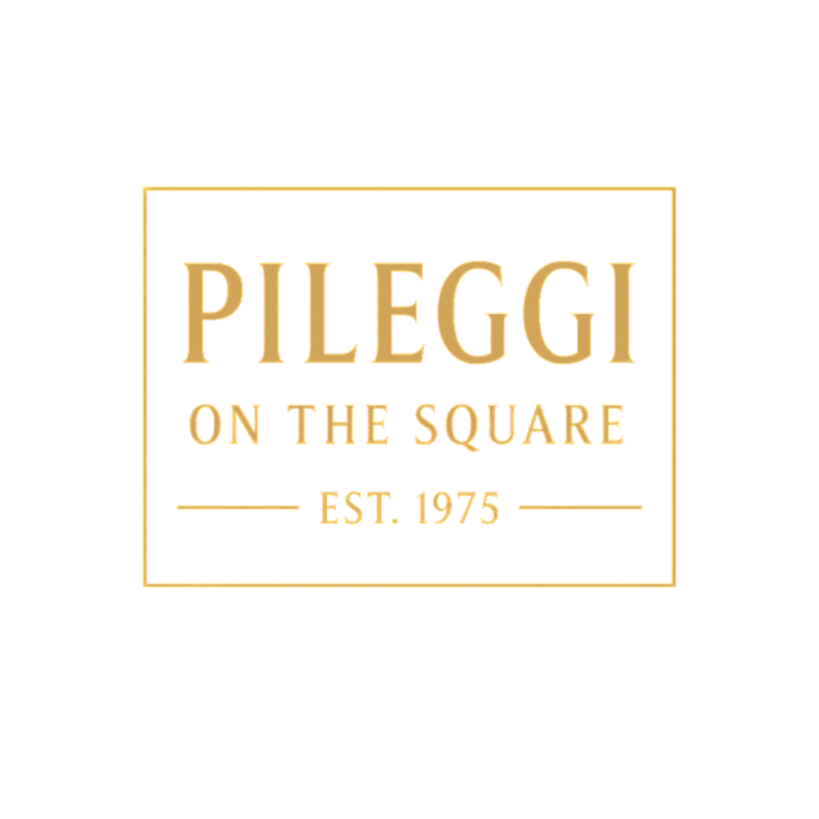 Pileggi on the Square Salon Powered by Gatto Salon Group