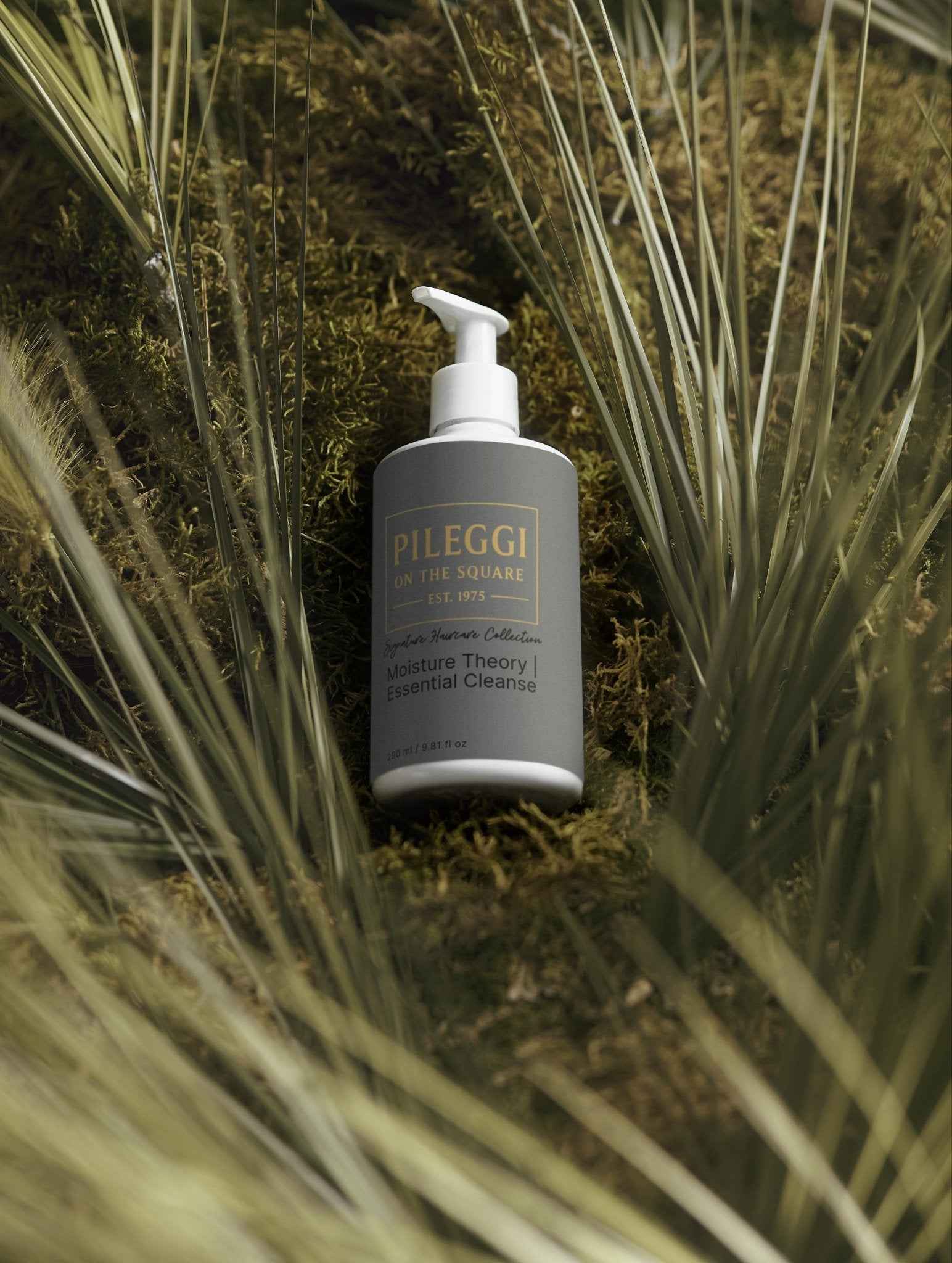 Moisture Theory Shampoo - Essential Cleanse for Hydrated Hair - Pileggi on the Square Salon