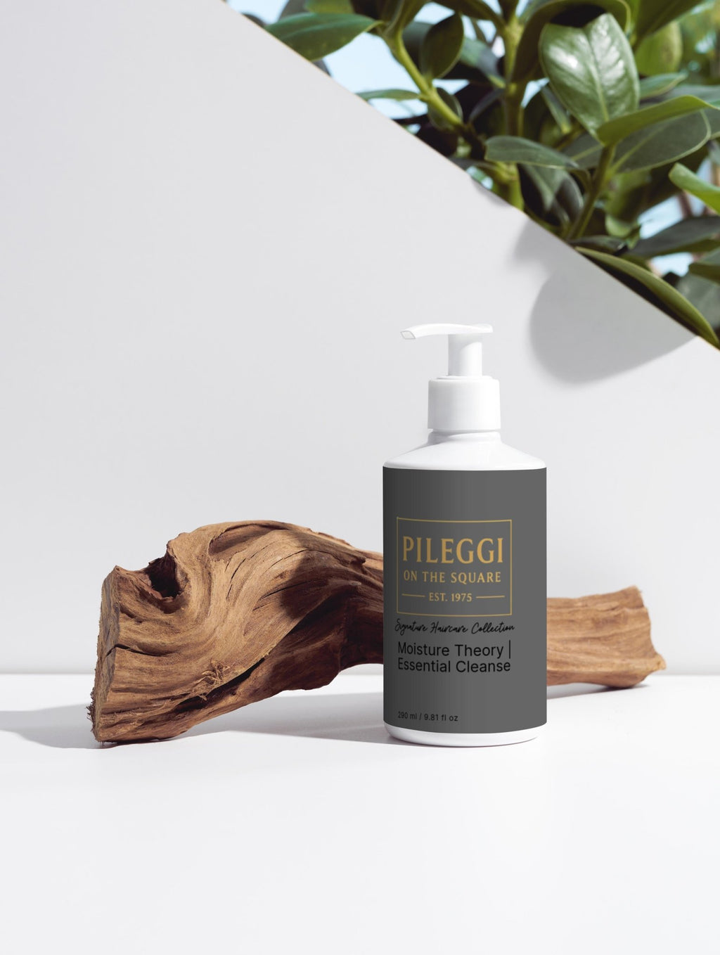 Moisture Theory Shampoo - Essential Cleanse for Hydrated Hair - Pileggi on the Square Salon