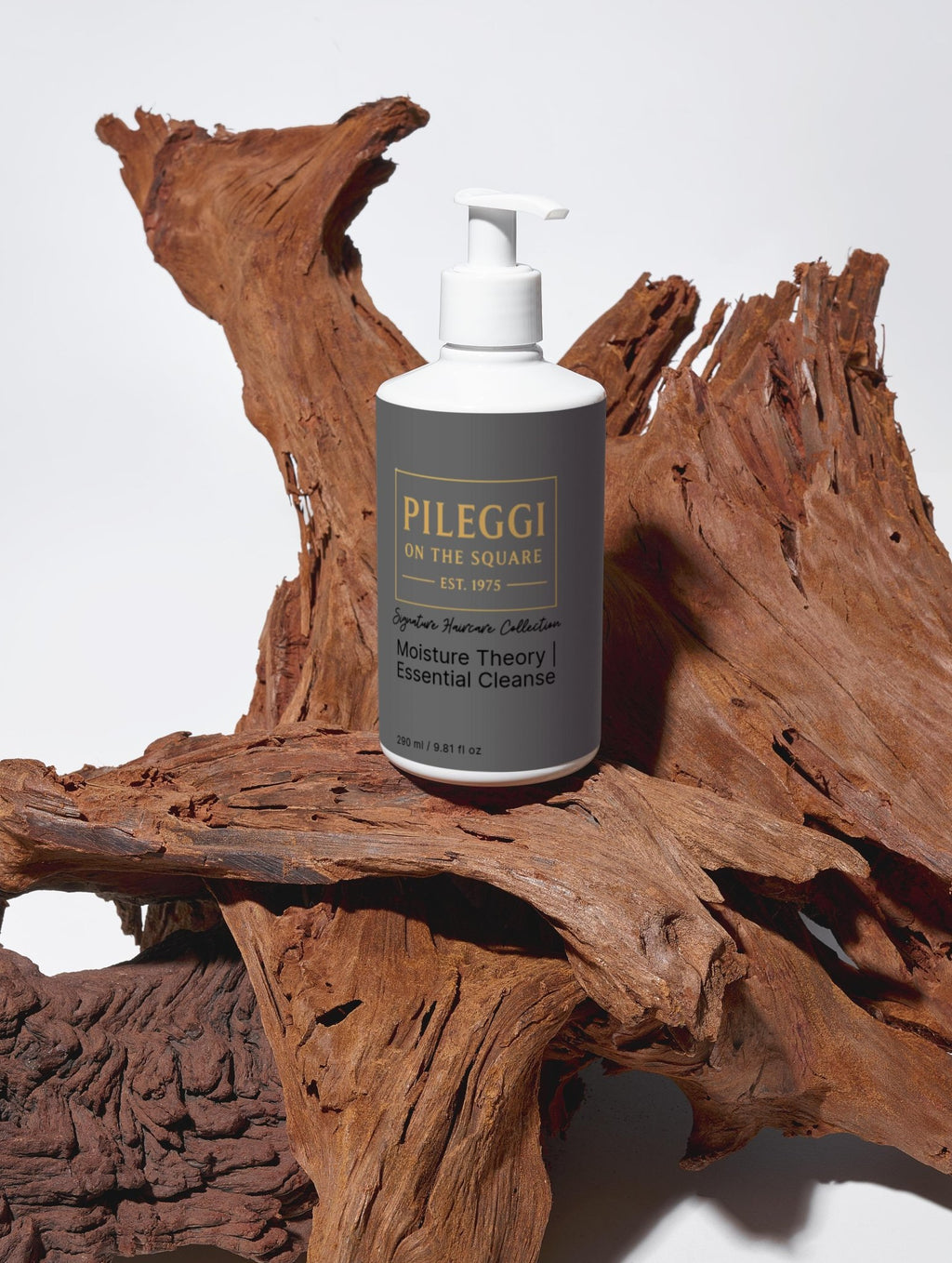 Moisture Theory Shampoo - Essential Cleanse for Hydrated Hair - Pileggi on the Square Salon