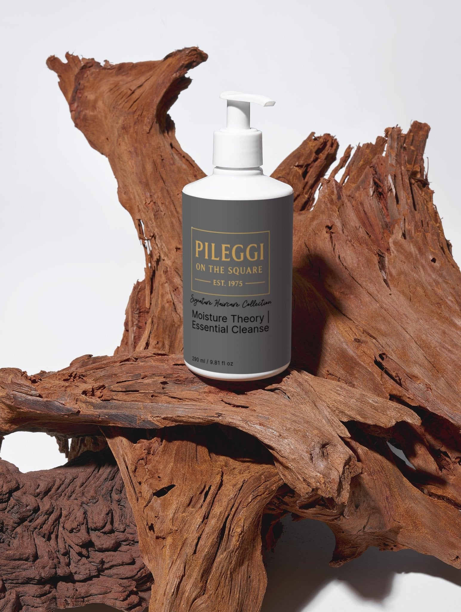 Moisture Theory Shampoo - Essential Cleanse for Hydrated Hair - Pileggi on the Square Salon